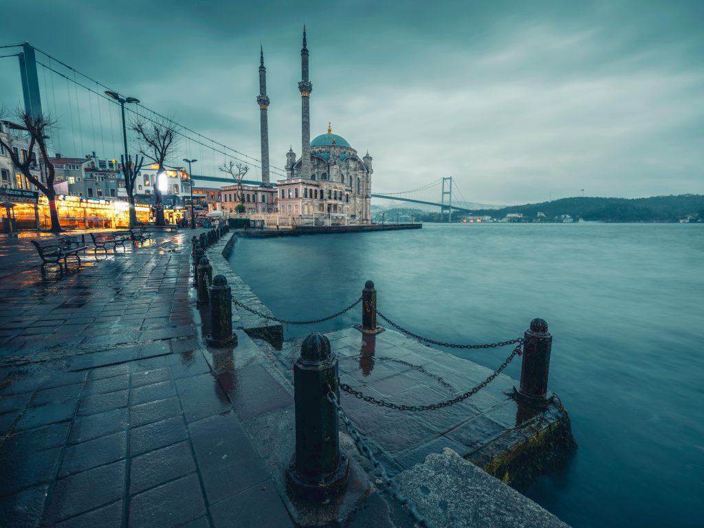 cruise line reviews and ratings